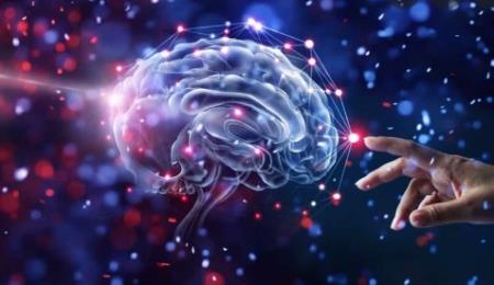 Gợn sóng trong não có thể giúp liên kết thông tin trên vỏ não con người