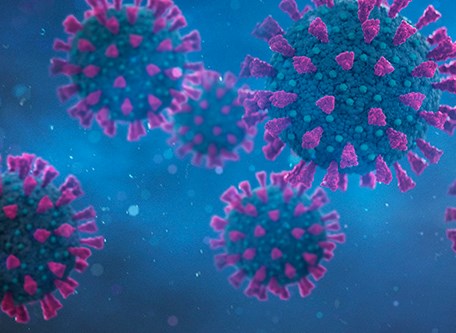 Đồng nhiễm với cúm A có thể ngăn chặn sự nhân lên của SARS-CoV-2