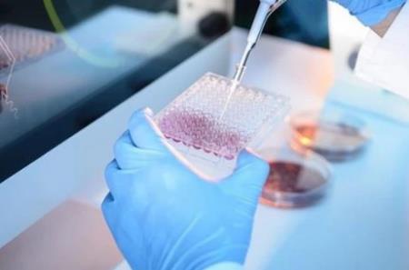 Nghiên cứu mới giúp khôi phục các tế bào gốc