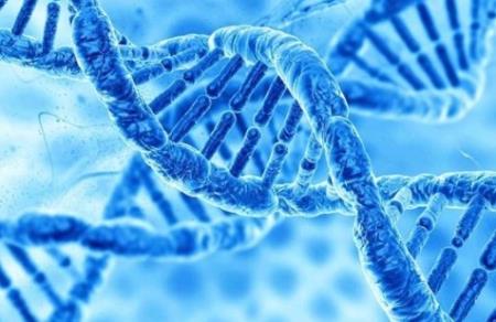 Phương pháp tiếp cận liệu pháp gen cho thấy nhiều hứa hẹn trong việc điều trị ALS