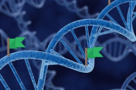 Làm thế nào để động cơ phân tử chuyển đổi năng lượng hóa học thành công cơ học?