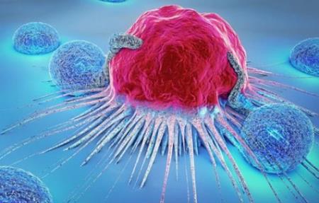 Vắc xin ung thư nhắm mục tiêu loại bỏ khối u và ngăn ngừa tái phát ở chuột