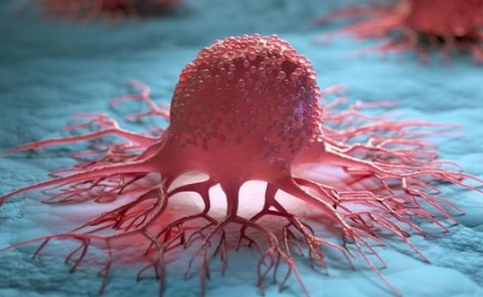 Virus trị liệu giúp tăng cường hệ thống miễn dịch chống lại ung thư