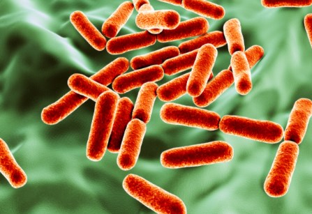 Vũ khí mới nhắm mục tiêu kháng kháng sinh