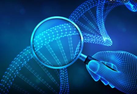 Chuyển động của DNA liên quan đến khả năng tự sửa chữa của nó