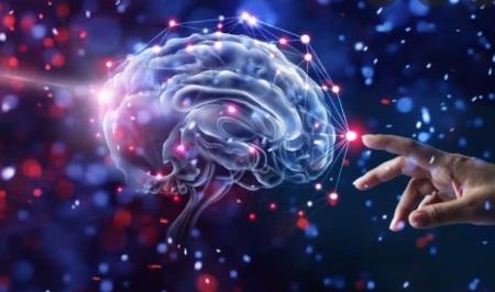 Bộ não phát triển như thế nào