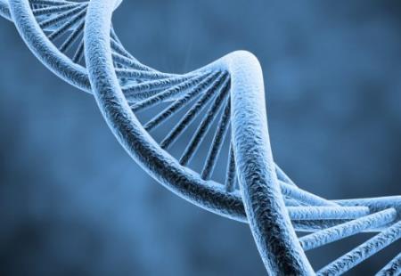 Nguồn gốc của đa dạng sinh học: Protein khác nhau như thế nào giữa các loài