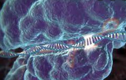 Cách tiếp cận mới tăng gấp đôi hiệu quả chỉnh sửa tế bào gốc