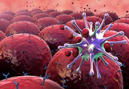 Liệu pháp kết hợp thuốc ở chuột ngăn chặn sự kháng thuốc, ngăn chặn sự phát triển của khối u