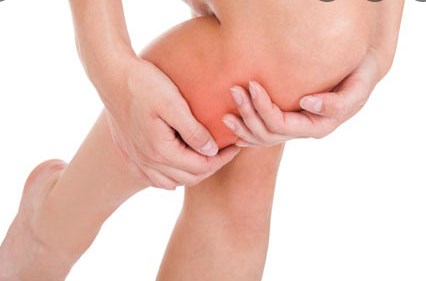 Chế độ ăn giàu chất béo kích hoạt quá trình tạo tế bào miễn dịch gây viêm trong xương