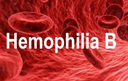 Liệu pháp gen Hemgenix cho bệnh Hemophilia B