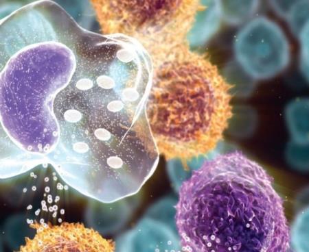 Thuốc trị ung thư phục hồi khả năng chống lại khối u của hệ thống miễn dịch