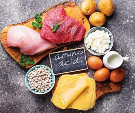 Chuột ăn ít axit amin - sống lâu hơn, khỏe mạnh hơn