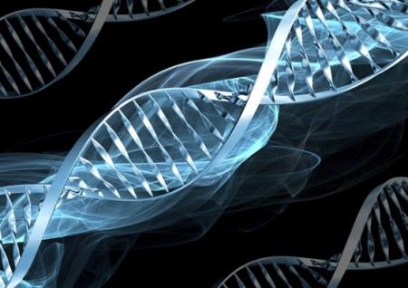 Nghiên cứu mới nâng cao hiểu biết về nguy cơ ung thư trong liệu pháp gen