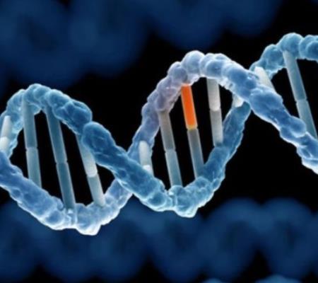 Cuộc chiến về gen có thể thúc đẩy liệu pháp điều trị ung thư
