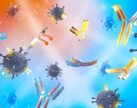 Kháng thể mới vô hiệu hóa vi khuẩn kháng thuốc