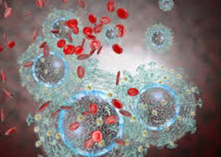 Những thay đổi biểu sinh là quan trọng nhất trong sự tiến triển của bệnh ung thư