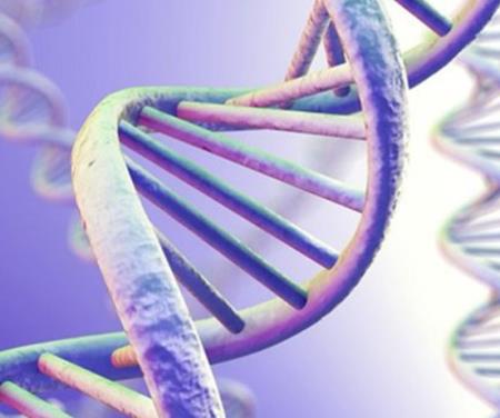 Manh mối để ngăn ngừa Alzheimer từ người trong gia đình có gen di truyền bệnh Alzheimer 