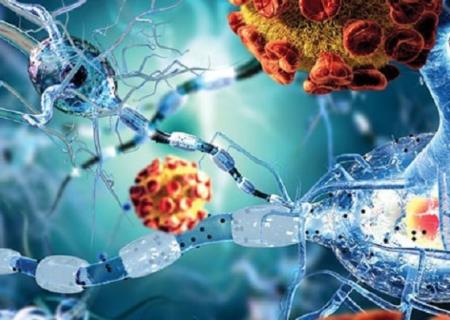 Protein chống nấm có thể giúp khắc phục bệnh tự miễn và ung thư nghiêm trọng