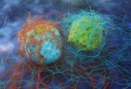 Thuốc chống ung thư đầy hứa hẹn nhắm vào protein KRAS