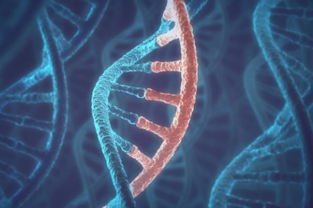 'Khớp nối' của RNA đóng vai trò quan trọng trong biểu hiện gen của chúng ta