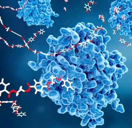 Các nhà nghiên cứu tạo ra enzyme nhân tạo để phát hiện nhanh hormone liên quan đến bệnh tật trong mồ hôi