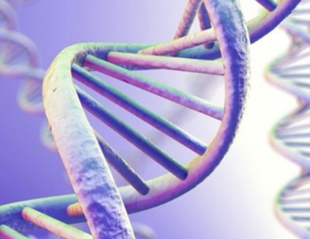 Sự thích nghi di truyền giúp quần thể người Amazon chống lại nhiễm trùng Chagas