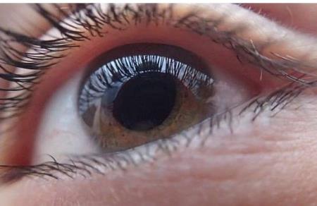 Các nhà nghiên cứu khám phá mục tiêu điều trị để hỗ trợ điều trị bệnh tăng nhãn áp