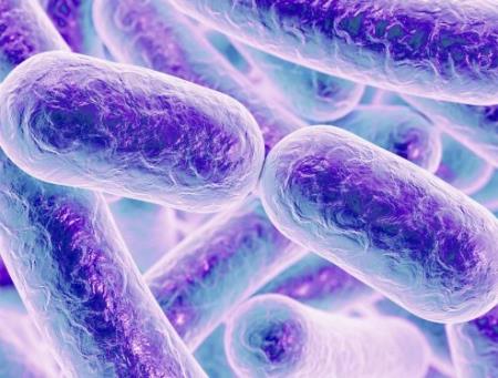 Phương pháp mới điều trị tốt bệnh tiêu chảy nhờ phát hiện ra cách trao đổi chất của vi khuẩn kỵ khí