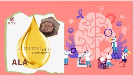 Alpha Linolenic Acid tăng cường khả năng phục hồi của não chống lại bệnh Alzheimer