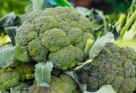 Dùng bông cải xanh bảo vệ niêm mạc ruột, giảm bệnh tật