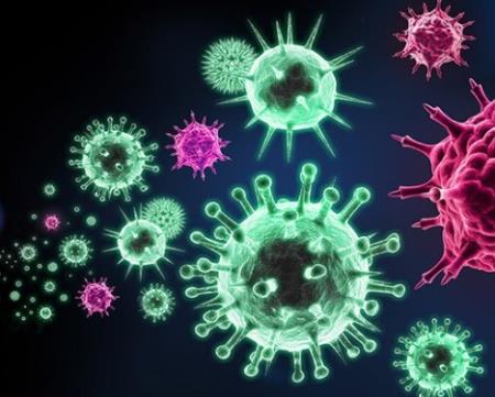 Cơ chế có thể giúp ngăn ngừa nhiễm vi rút cúm A và Ebola