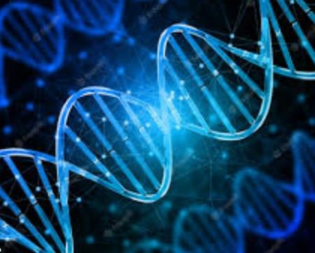 Đây là cách các tế bào phôi của giun thay đổi tiềm năng phát triển của nó