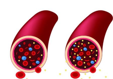 Tạo năng lượng bằng đường huyết