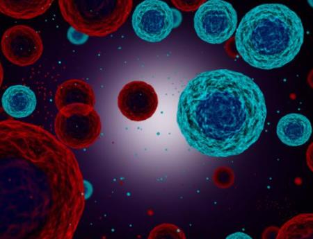 Ứng viên được tìm thấy để ức chế sự phát triển khối u ác tính