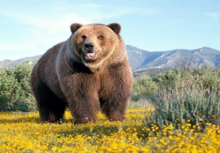 Ngăn ngừa cục máu đông nguy hiểm