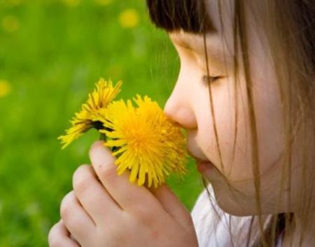 Tạo cảm giác về mùi hương: Giải mã khứu giác của chúng ta