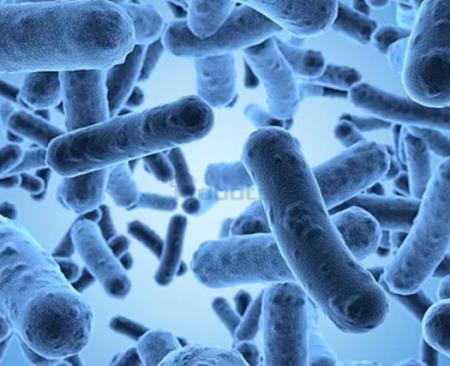 Cơ thể con người là nơi sinh sản của các gen kháng thuốc