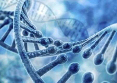 Chống béo phì thông qua liệu pháp gen