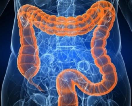 Nghiên cứu tiết lộ cách vi khuẩn đường ruột thay đổi phản ứng của cơ thể đối với liệu pháp miễn dịch ung thư