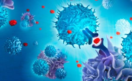 Tế bào T có thể tự kích hoạt để chống lại khối u