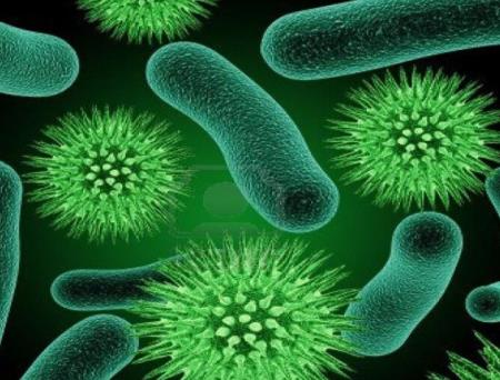 Nhà khoa học phát hiện ra gốc rễ của kháng kháng sinh