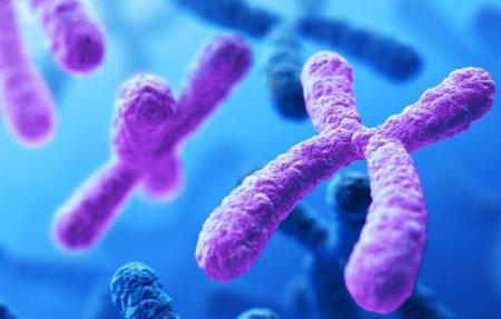 Nối lại các đoạn nhiễm sắc thể bị vỡ mở đường cho các liệu pháp điều trị ung thư mới