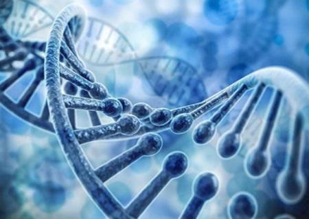 Làm thế nào chuyển động của DNA kiểm soát hoạt động của gen