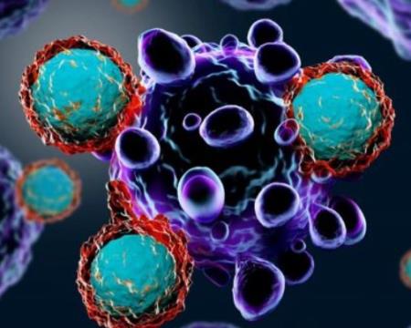 Phương pháp trị liệu miễn dịch dựa trên vật liệu sinh học mới có tên là SIVET