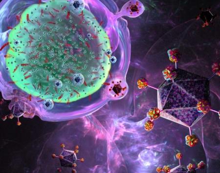 Liệu pháp miễn dịch CAR-T tấn công ung thư buồng trứng ở chuột với một liều duy nhất