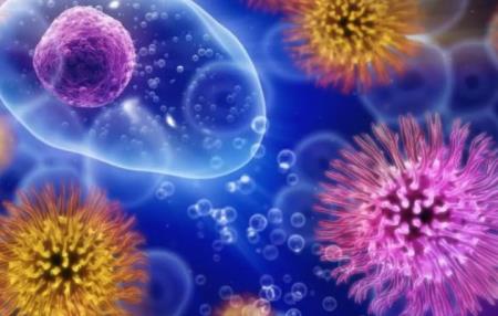 Nghiên cứu tìm thấy một vai trò mới đáng ngạc nhiên đối với một chất điều hòa miễn dịch chính