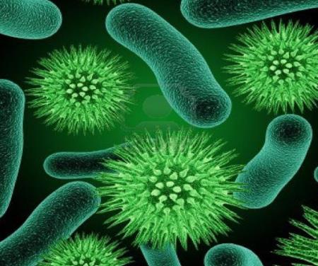 Chế độ ăn uống liên quan tới những thay đổi trong hệ vi sinh vật đường ruột