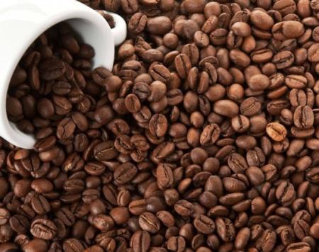 Trigonelline có nguồn gốc từ cà phê cải thiện chức năng nhận thức ở chuột