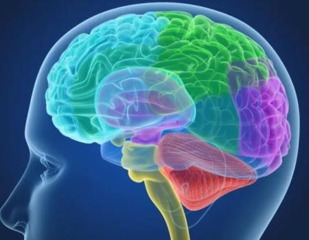 Dấu hiệu viêm não cuối cùng đã được giải mã